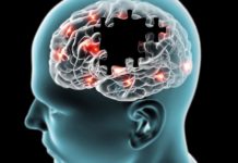 Η λήψη τροφής φέρνει διπλή δόση ευχαρίστησης στον εγκέφαλο H λήψη τροφής φέρνει διπλή δόση ευχαρίστησης στον εγκέφαλο