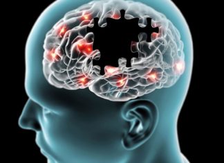 Η λήψη τροφής φέρνει διπλή δόση ευχαρίστησης στον εγκέφαλο H λήψη τροφής φέρνει διπλή δόση ευχαρίστησης στον εγκέφαλο